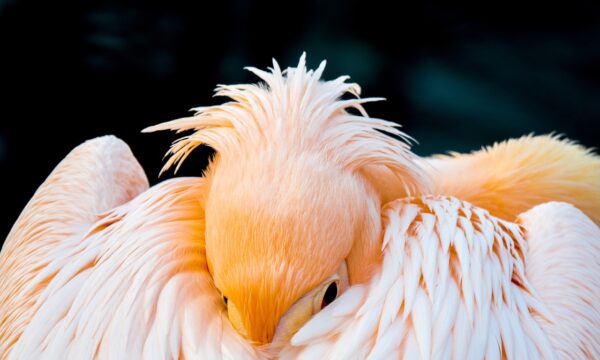 Lekcja zoologii w krakowskim Zoo